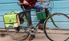 Green Guru- Double Dutch Dual 22L Everybike Pannier